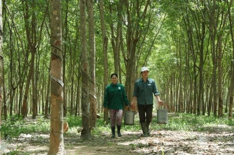 Khẳng định vị thế một ngành kinh tế mạnh